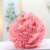 fleur de douche rose